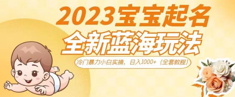 2023宝宝起名全新蓝海玩法，冷门暴力小白实操，日入1000+（全套教程）【揭秘】